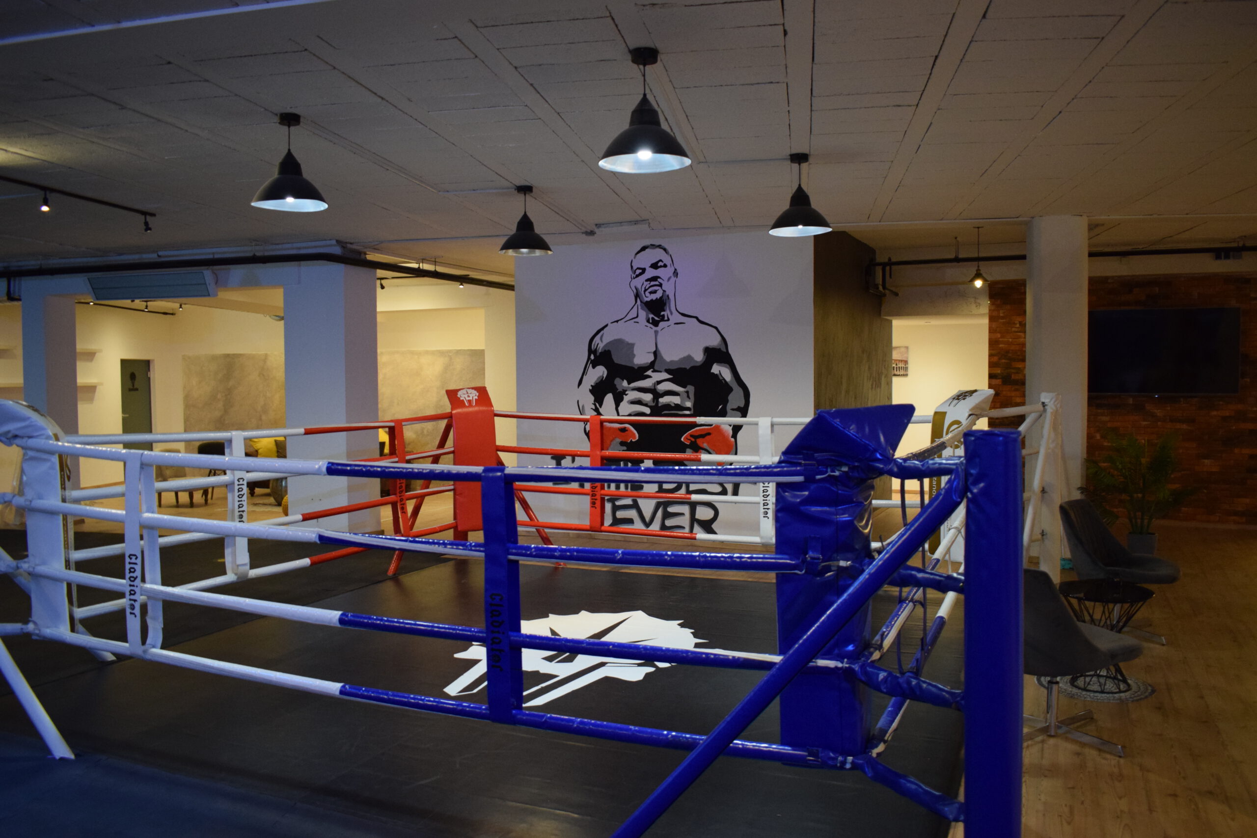 Boxring Gladiator Fightclub Neuburg